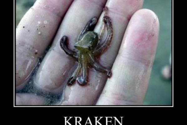 Kraken зеркало ссылка онлайн